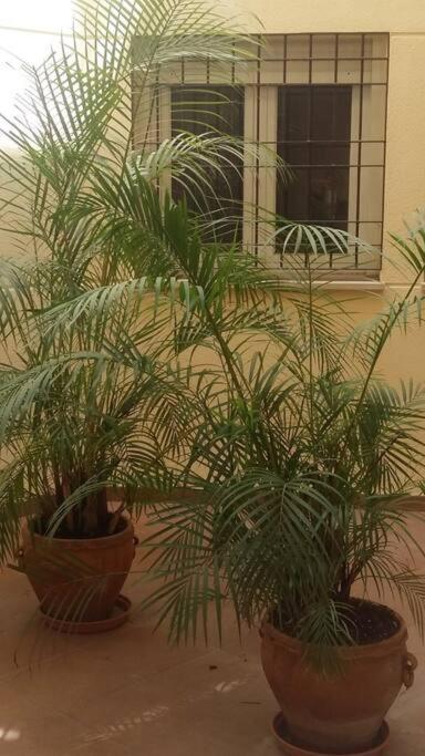 Espacio Malaga Ngoại thất bức ảnh